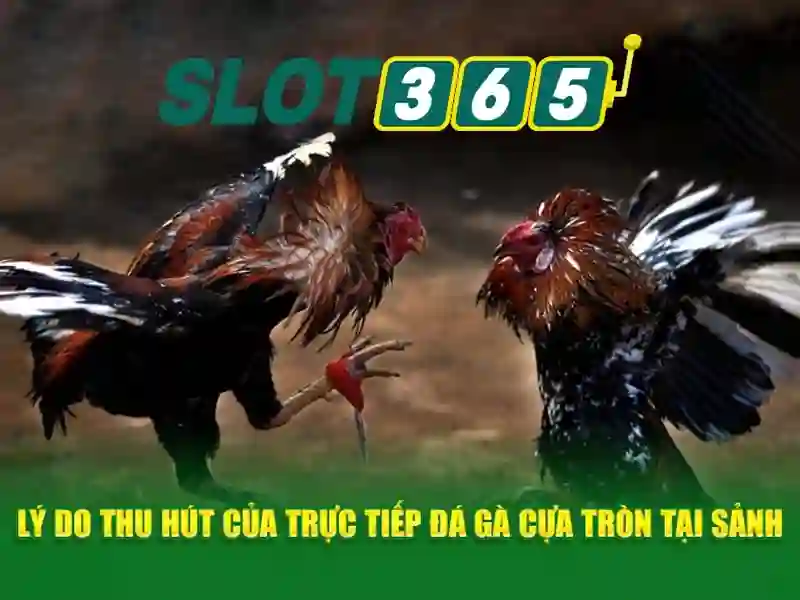 https://22bet-online.com/images/text/slot365/slot365-text1191.webp