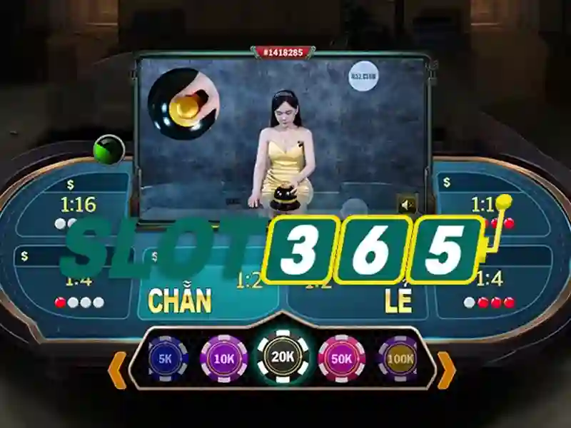 slot365-conclusion