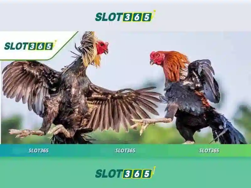 Tổng quan về chính sách miễn trừ trách nhiệm tại nhà cái slot365