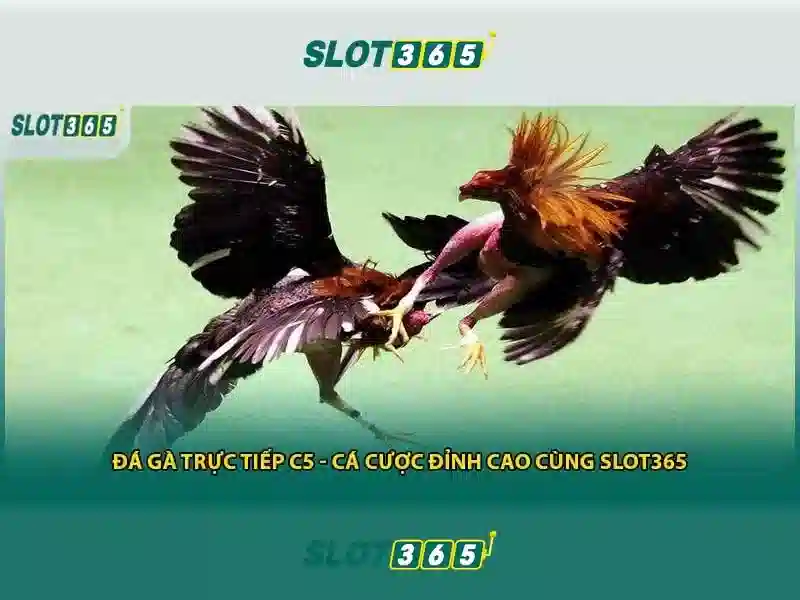 slot365-intro