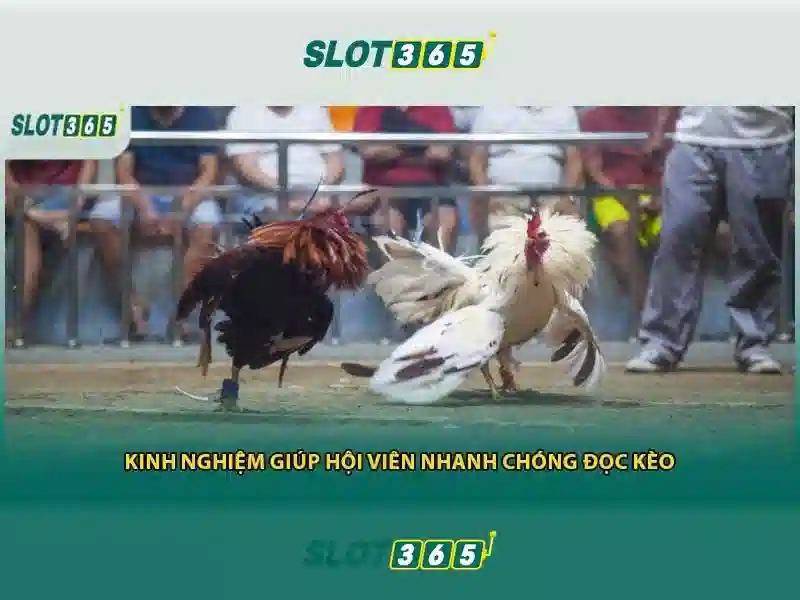 https://22bet-online.com/images/text/slot365/slot365-text260312412.webp