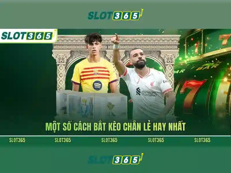 https://22bet-online.com/images/text/slot365/slot365-text260312459.webp