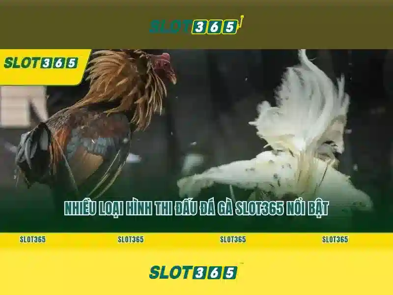 https://22bet-online.com/images/text/slot365/slot365-text260312491.webp