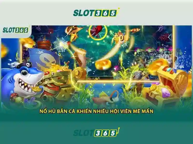 Chiến lược ROI các chương trình