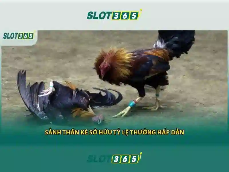 https://22bet-online.com/images/text/slot365/slot365-text260312554.webp
