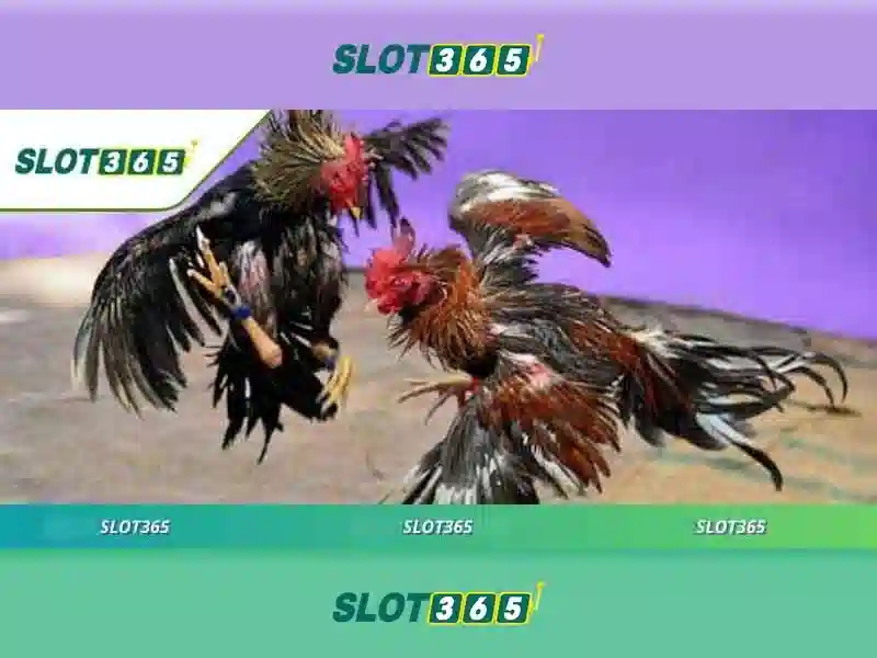 https://22bet-online.com/images/text/slot365/slot365-text260312705.webp