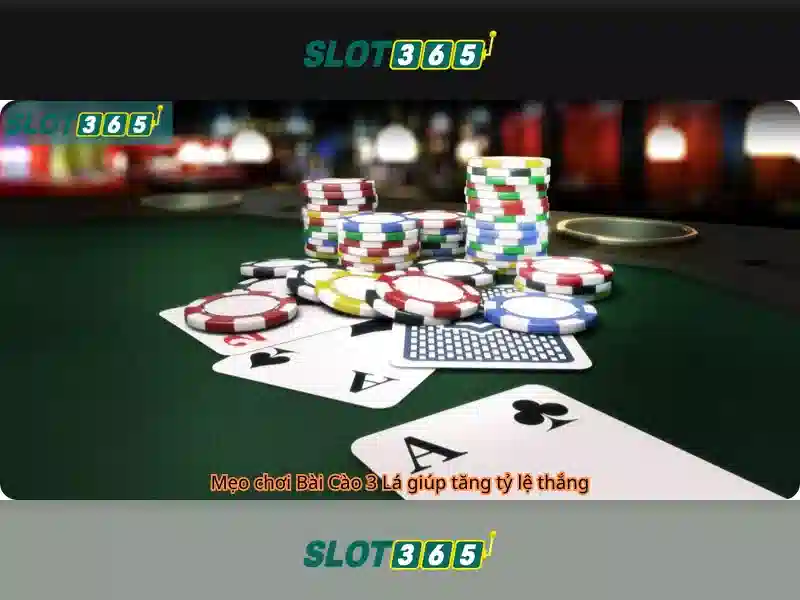 Slot365 – Nền tảng chơi trò chơi trực tuyến nổi bật