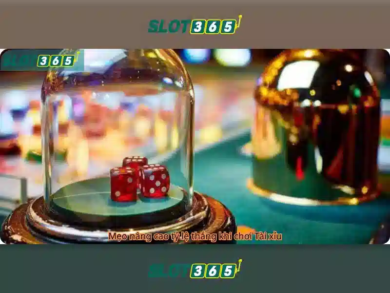 Slot365: Nền tảng slot trực tuyến