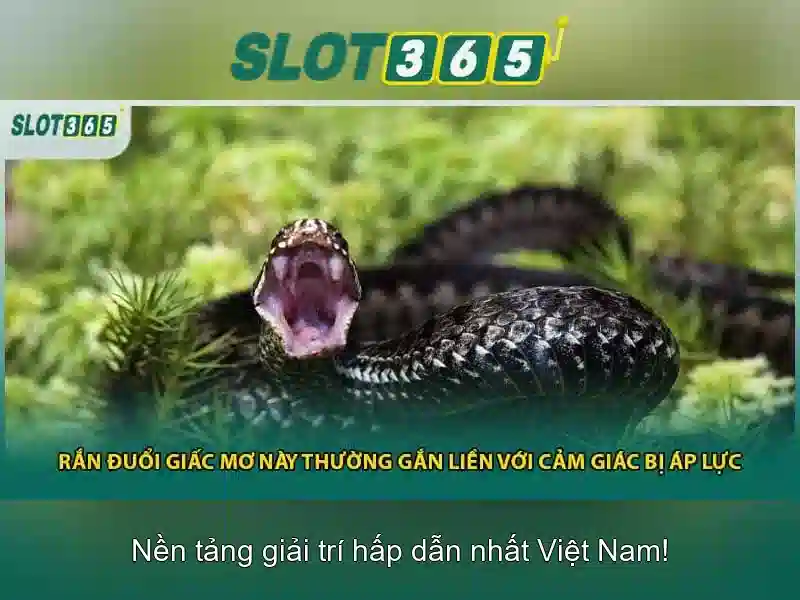 https://22bet-online.com/images/text/slot365/slot365-text2603311028.webp