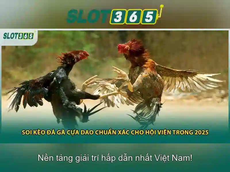 https://22bet-online.com/images/text/slot365/slot365-text2603311072.webp
