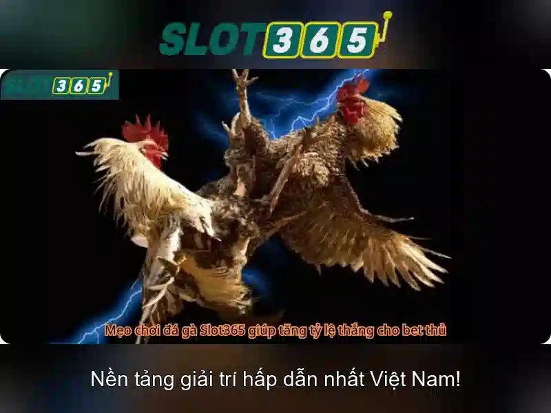 https://22bet-online.com/images/text/slot365/slot365-text260331120.webp