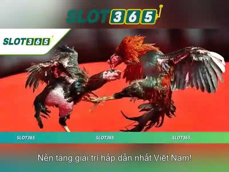 https://22bet-online.com/images/text/slot365/slot365-text2603311220.webp