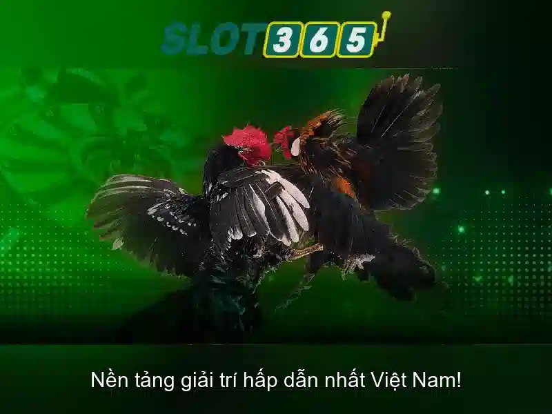 Slot365: Trải nghiệm casino slots trực tuyến