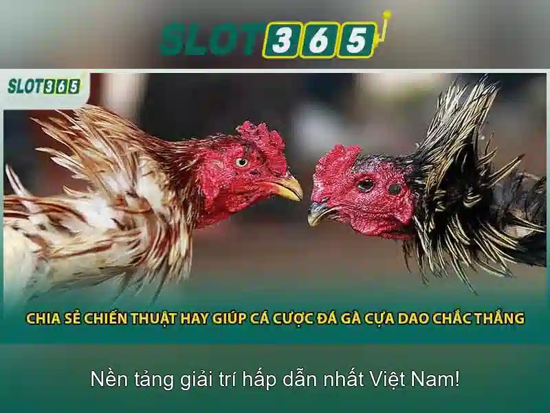 Slot365 - Nền tảng trò chơi máy đánh bạc trực tuyến