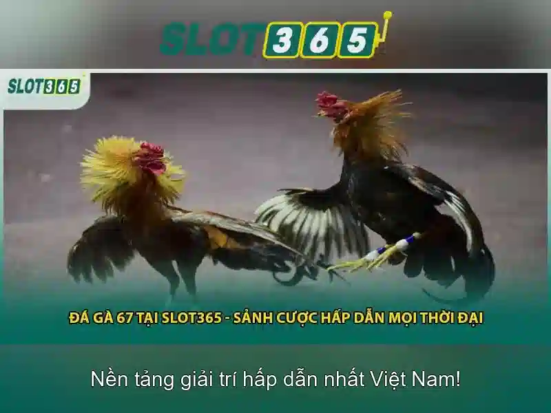 Slot365 - Nền tảng chơi slot trực tuyến đáng tin cậy
