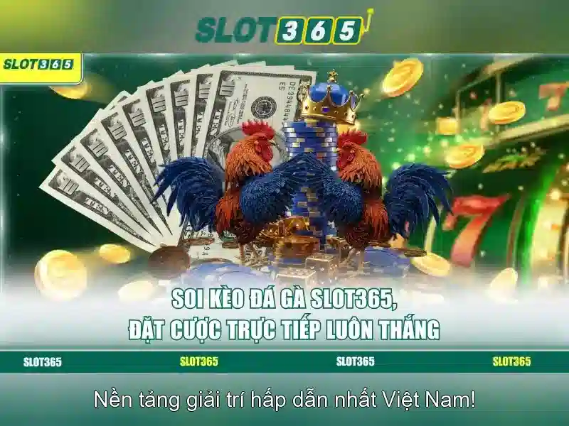 slot365-banner