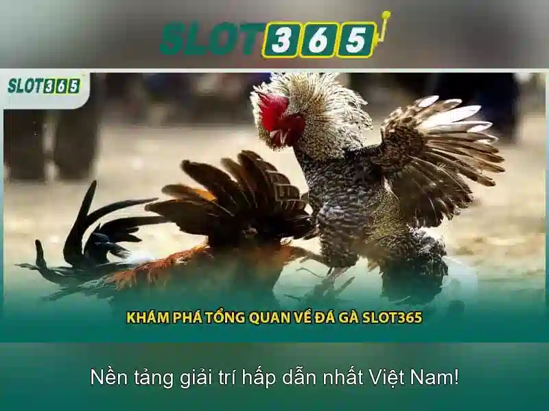 https://22bet-online.com/images/text/slot365/slot365-text260331802.webp
