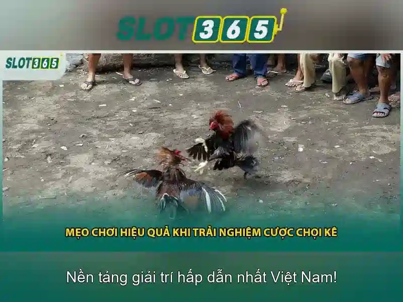 Slot365: Trải nghiệm trò chơi slot trực tuyến đáng tin cậy