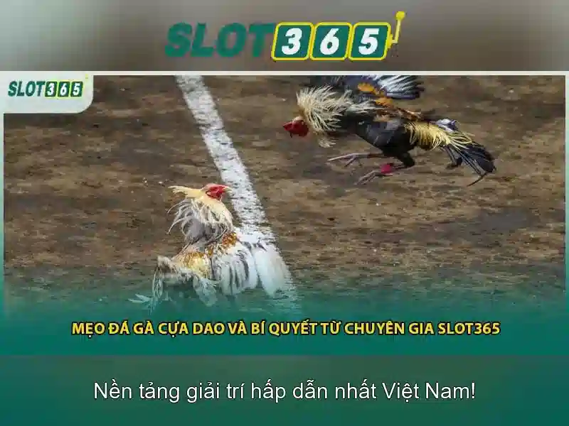 https://22bet-online.com/images/text/slot365/slot365-text260331891.webp