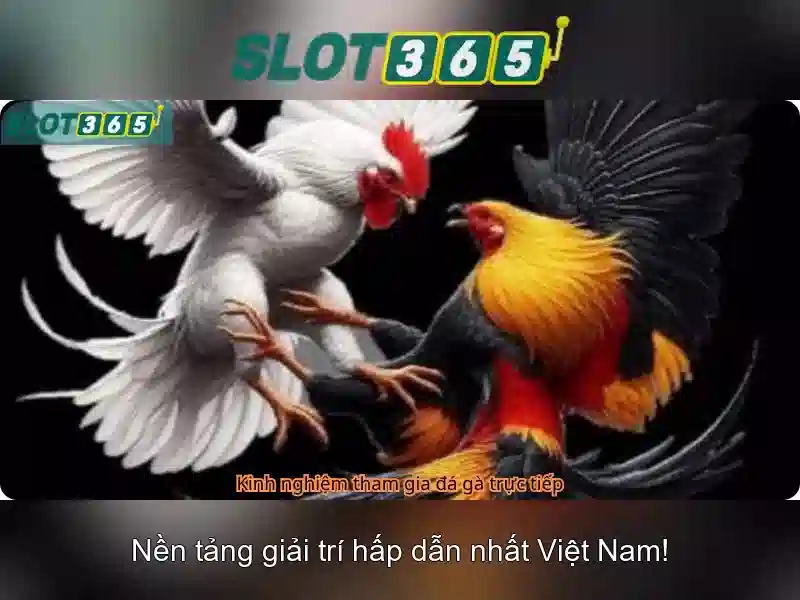 https://22bet-online.com/images/text/slot365/slot365-text26033196.webp