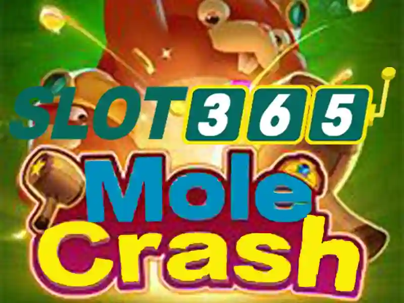 Slot365 - Đánh giá và hướng dẫn